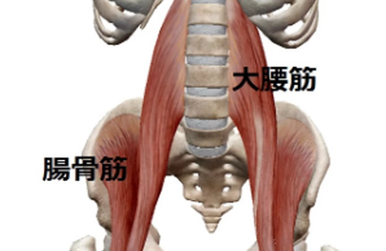 背中と腰の疲れ、ここでリセット！