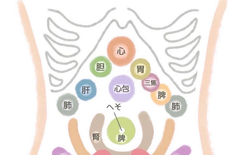 北久里浜で生理痛と便秘にさよなら！