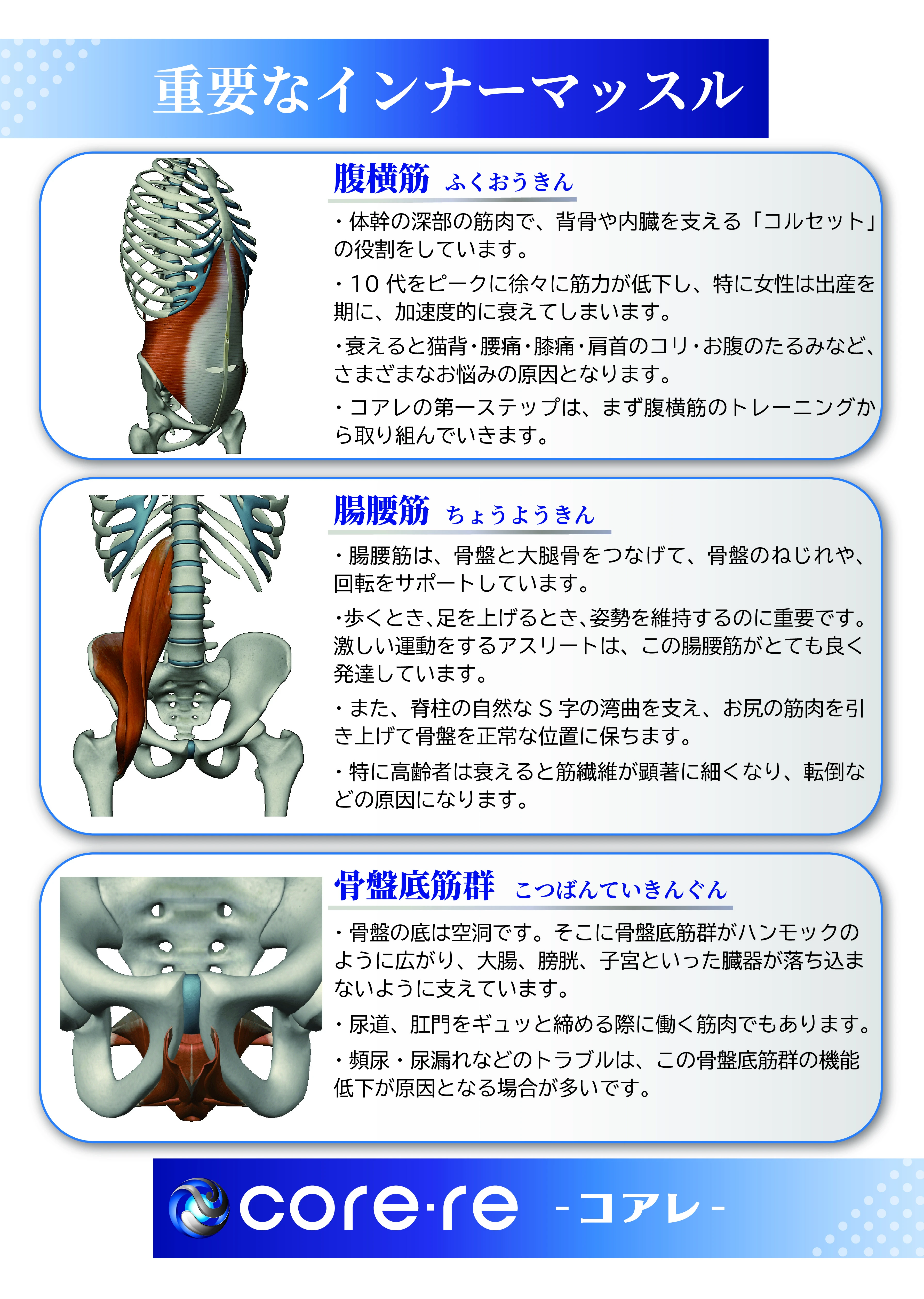 2. インナーマッスルの重要性