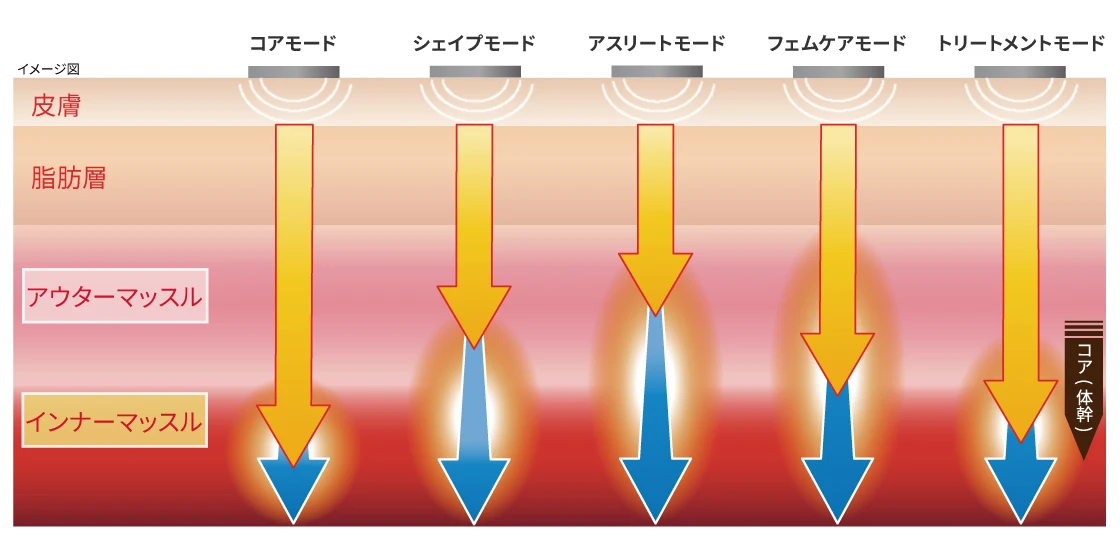 体幹トレーニングの具体的なプログラム内容