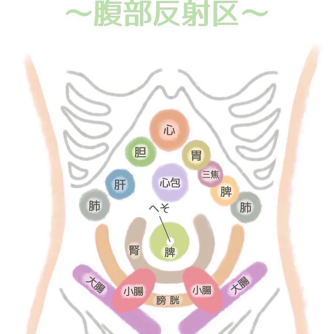 内臓機能を高めるメリット
