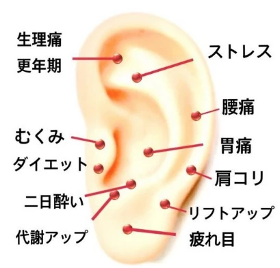 花粉症とアレルギーのメカニズム