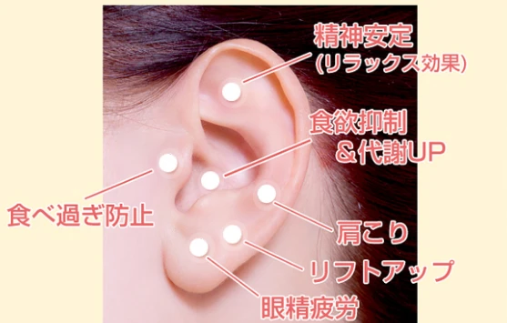4. 体験者の声