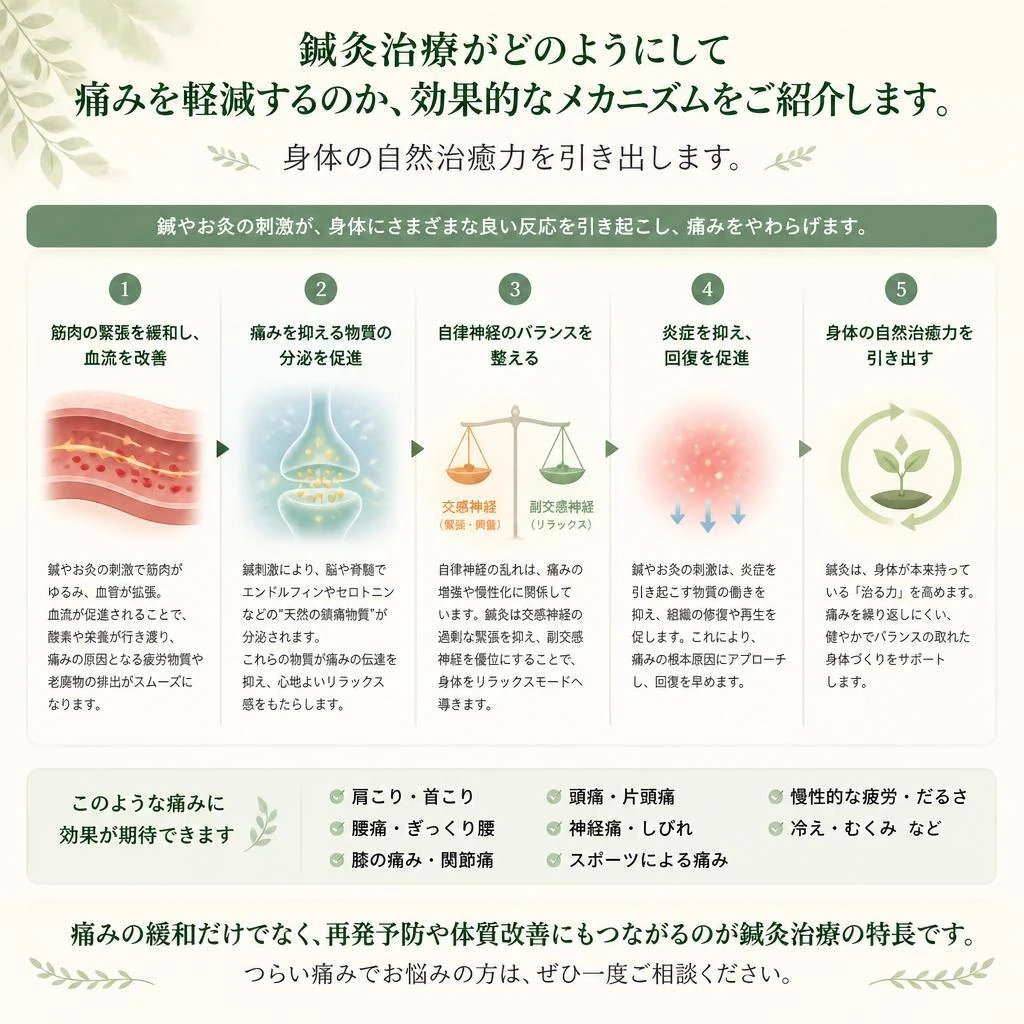 2. 鍼灸治療の力