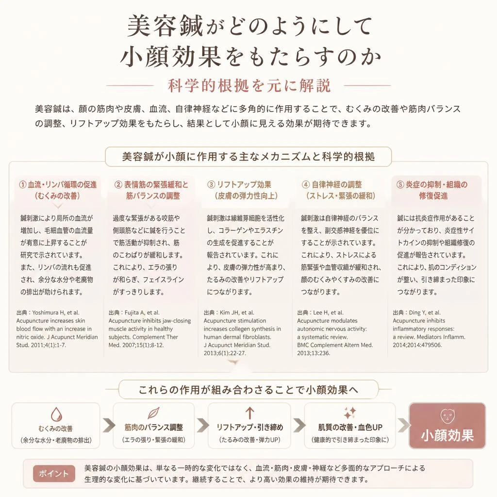 小顔効果の秘密とは？