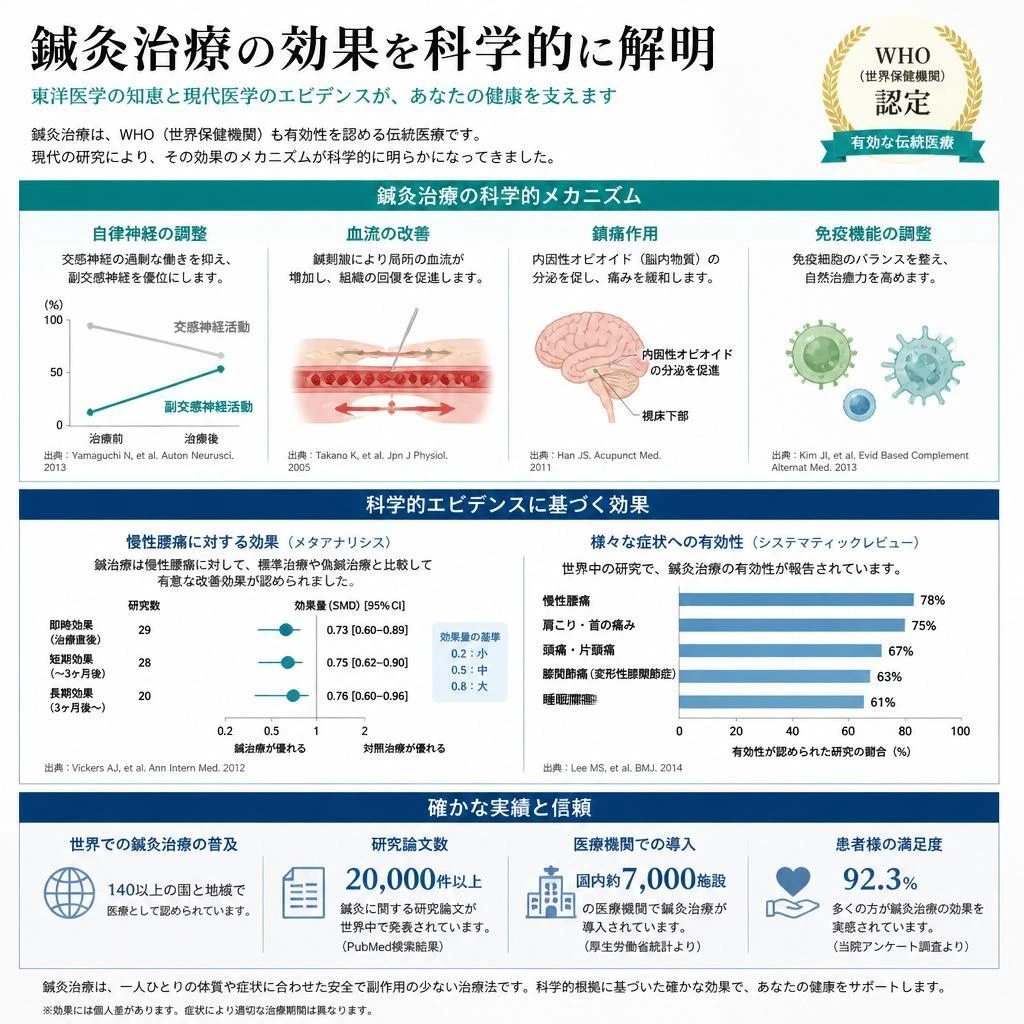 4. 鍼治療の科学的根拠