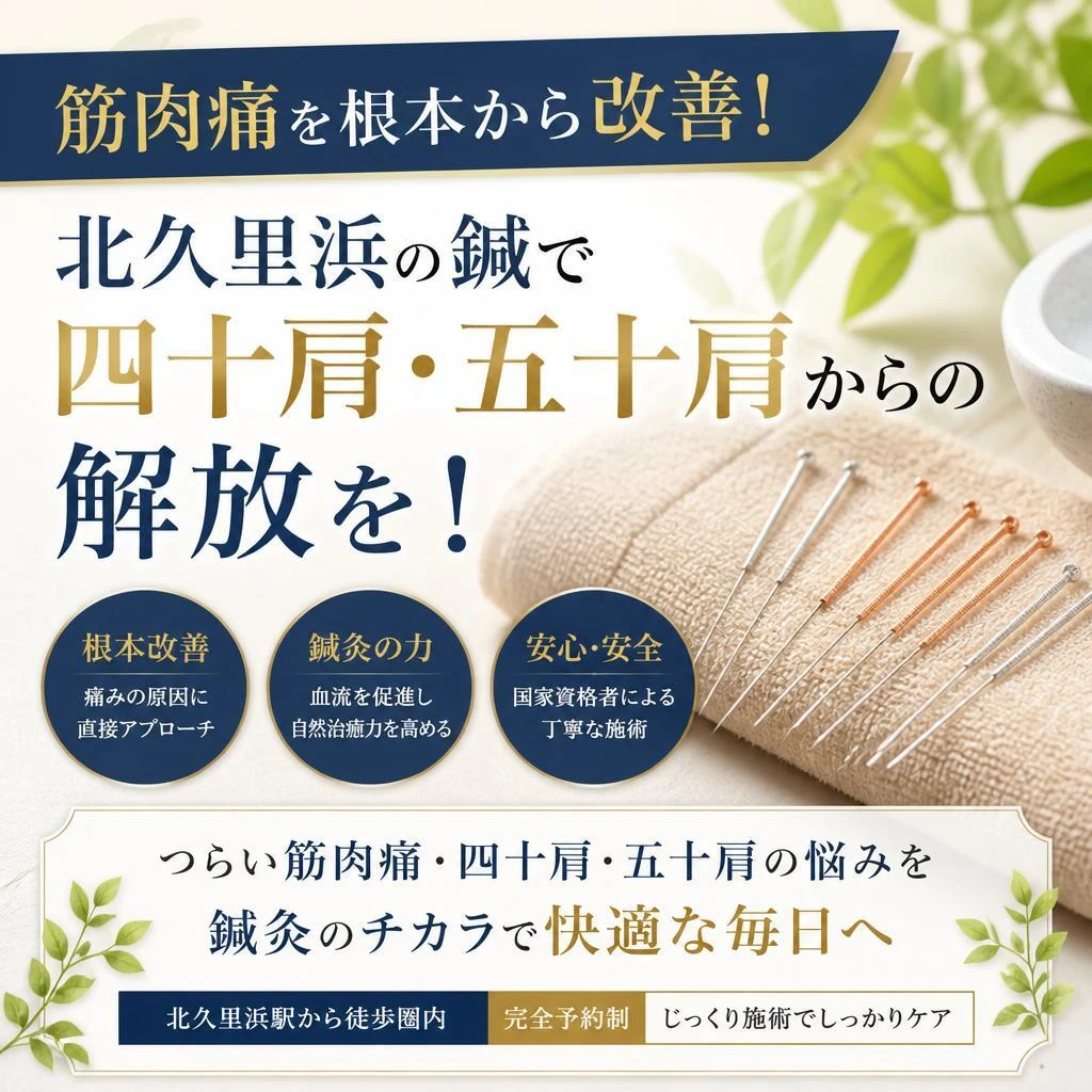 筋肉痛を根本から改善！北久里浜の鍼で四十肩・五十肩からの解放を！