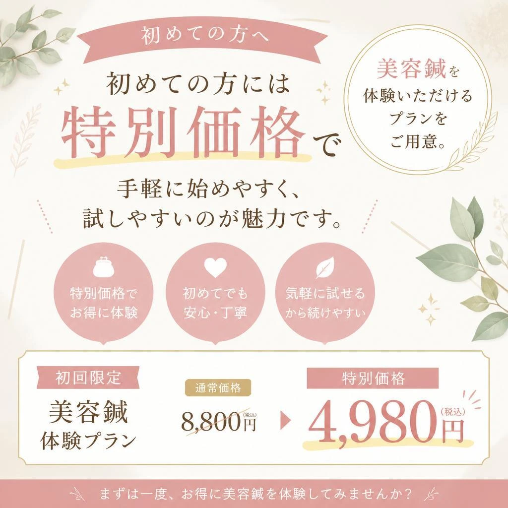 初回限定格安プラン