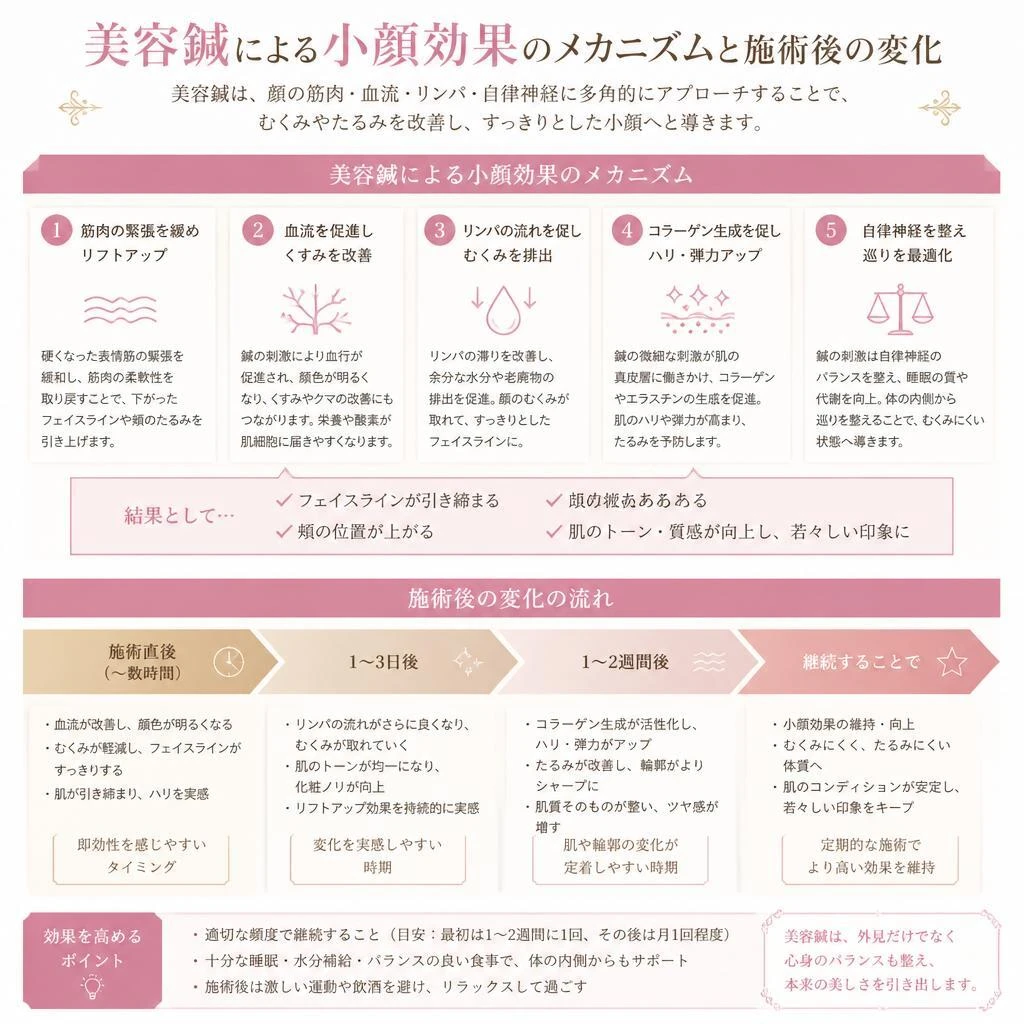 小顔効果を引き出すメカニズム