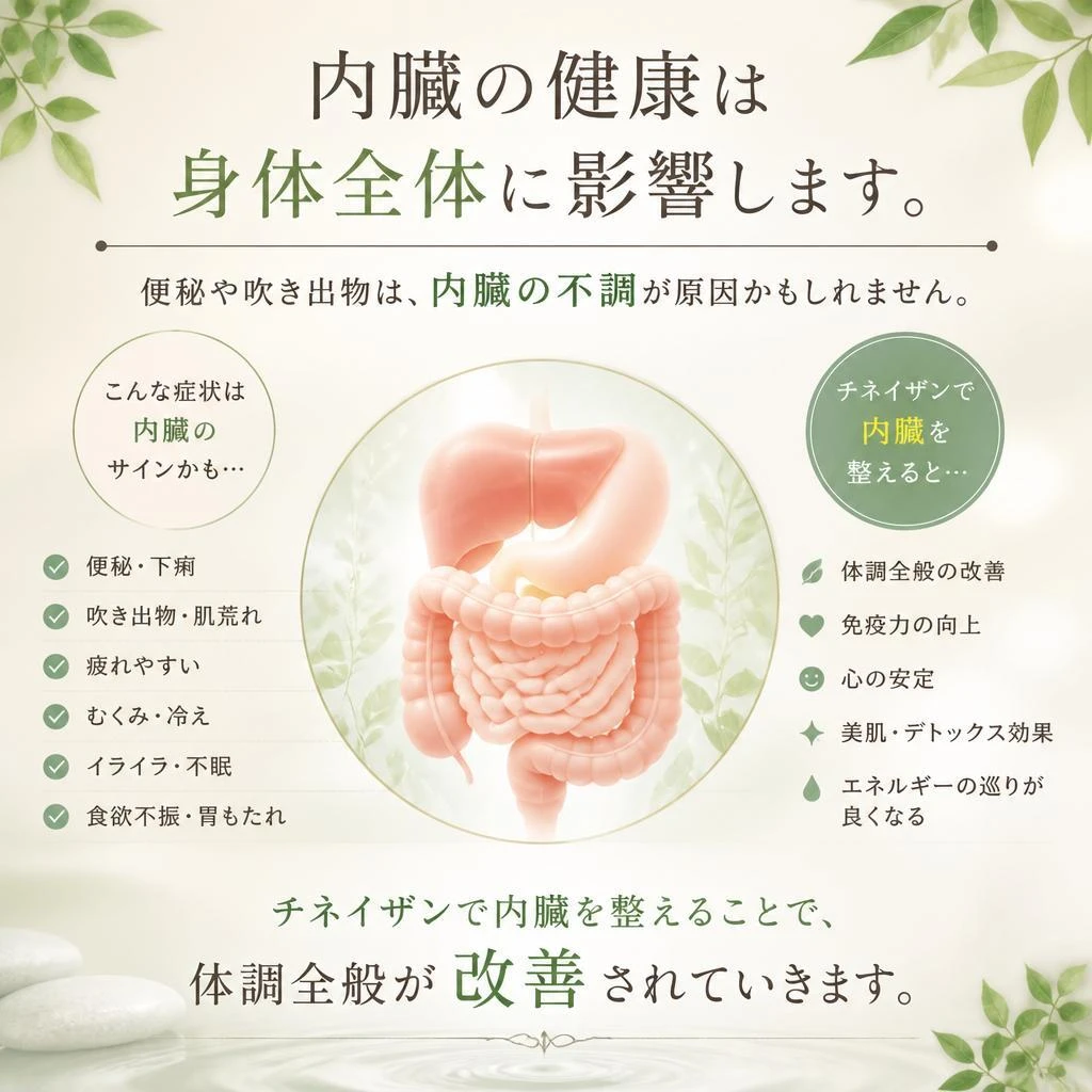 内臓調整の重要性