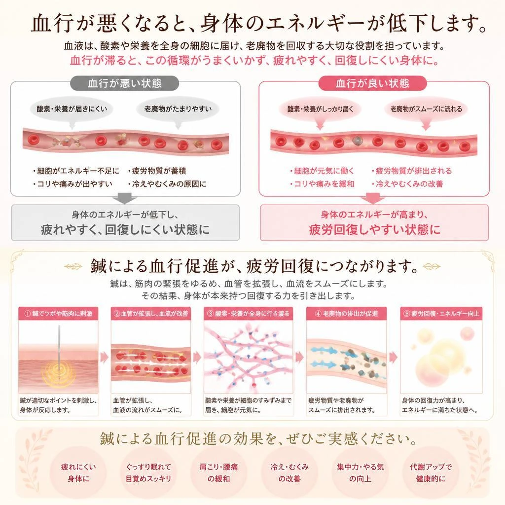血行促進の重要性