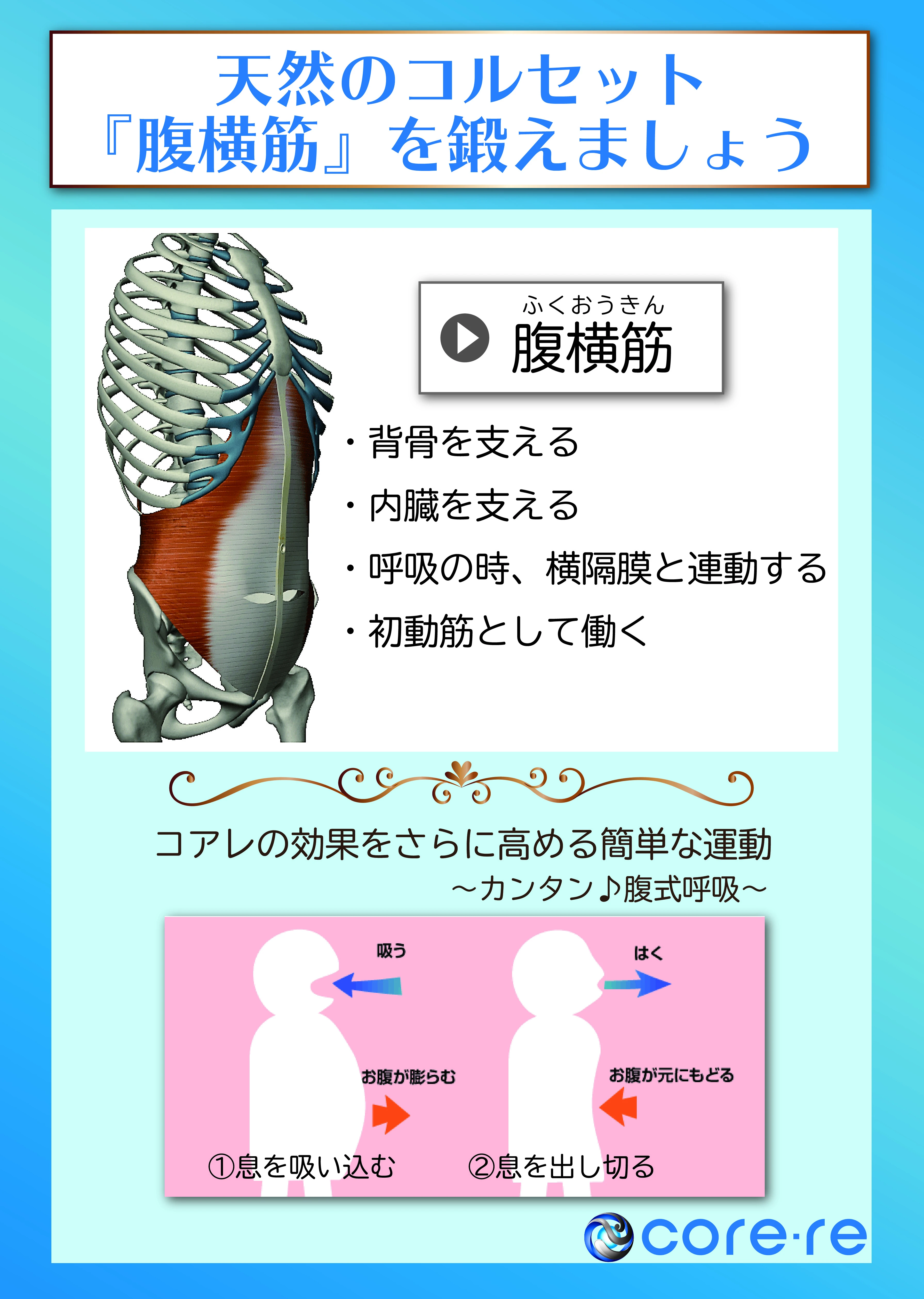 腰痛改善のポイント