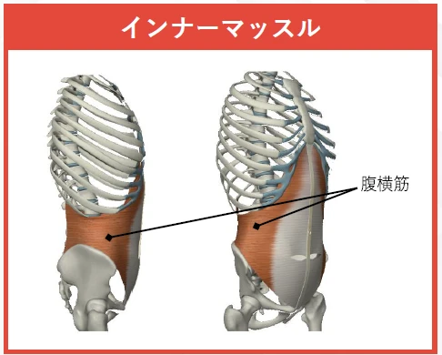 腰痛とインナーマッスルの関係