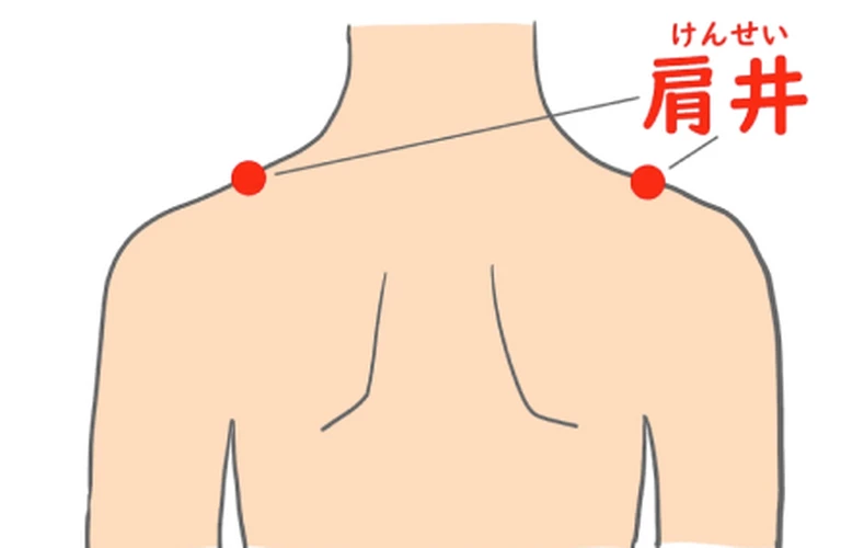 「肩こり」にさよなら！横須賀北久里浜の鍼灸整体で健康な体へ